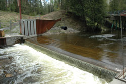 Sea lamprey barrier on Ocqueoc River.