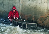 Sea Lamprey Pheromone Research