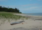 Caribou Island Grassland and Beach