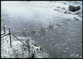 Old Electrical Sea Lamprey Barrier